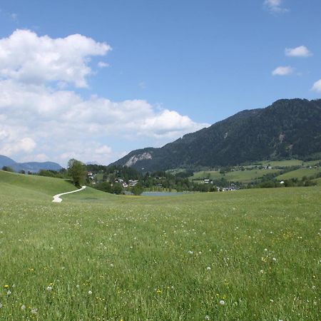 Pension Glitschnerhof Aigen im Ennstal Exteriér fotografie