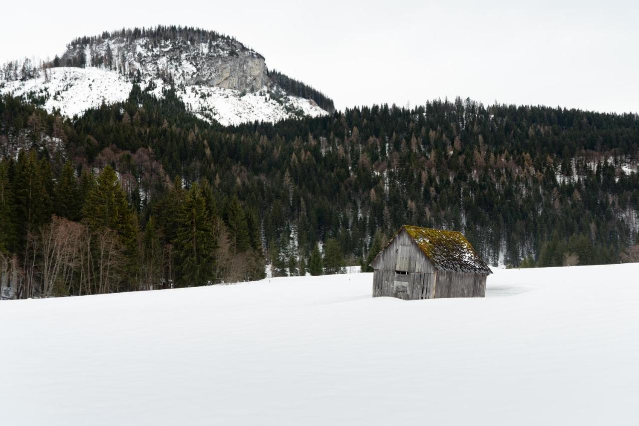 Pension Glitschnerhof Aigen im Ennstal Exteriér fotografie