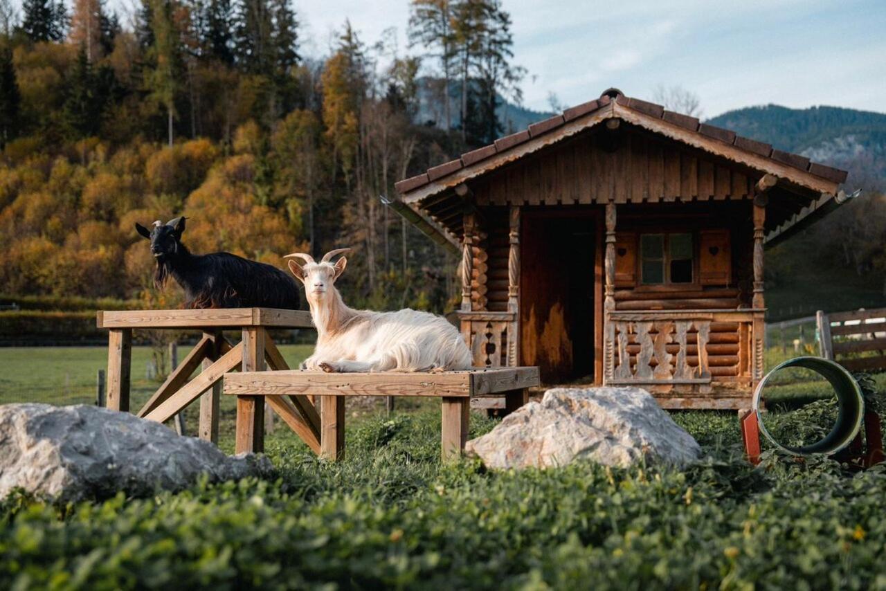 Pension Glitschnerhof Aigen im Ennstal Exteriér fotografie